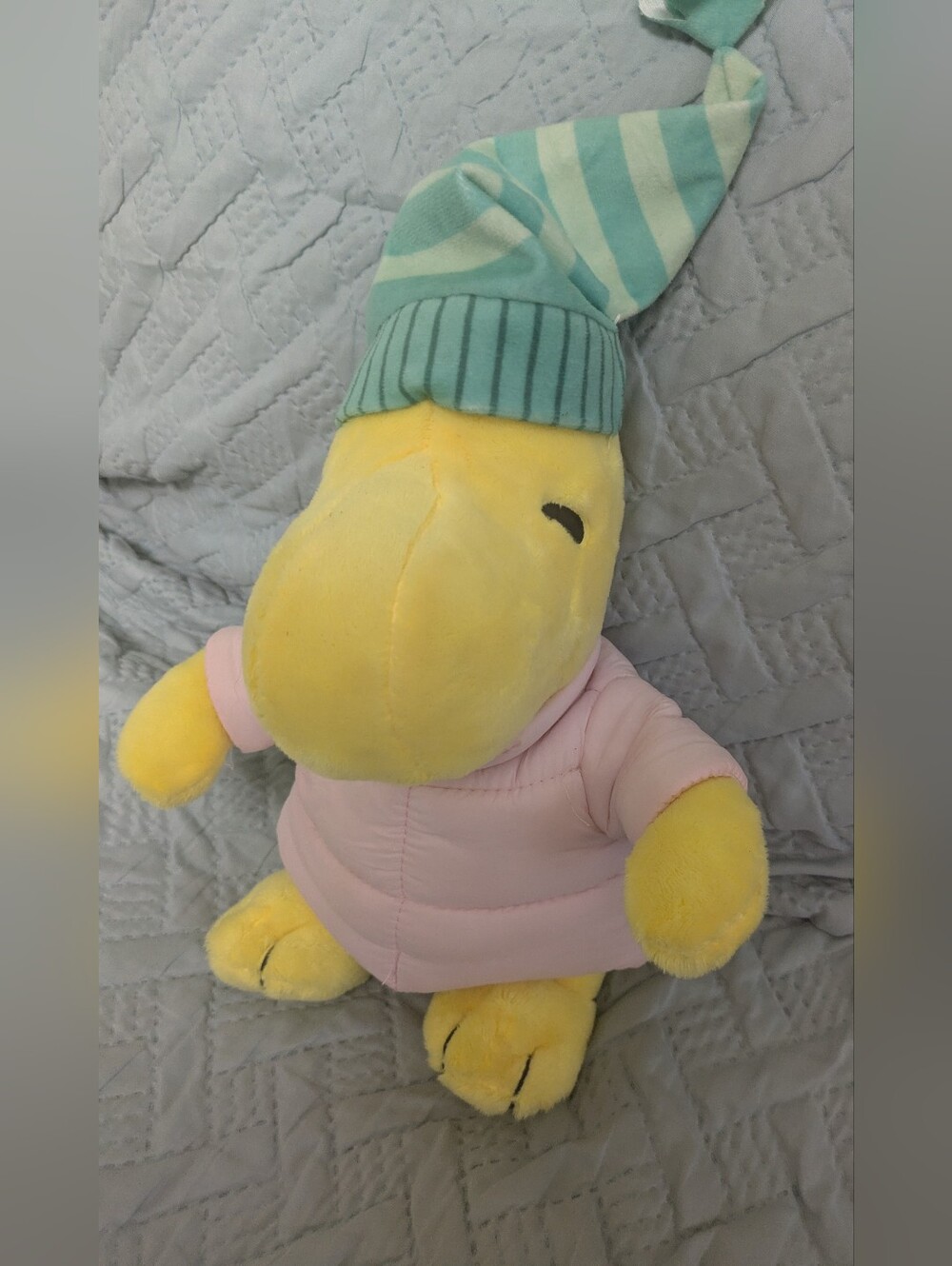 Woodstock Peanuts Ruz 2024